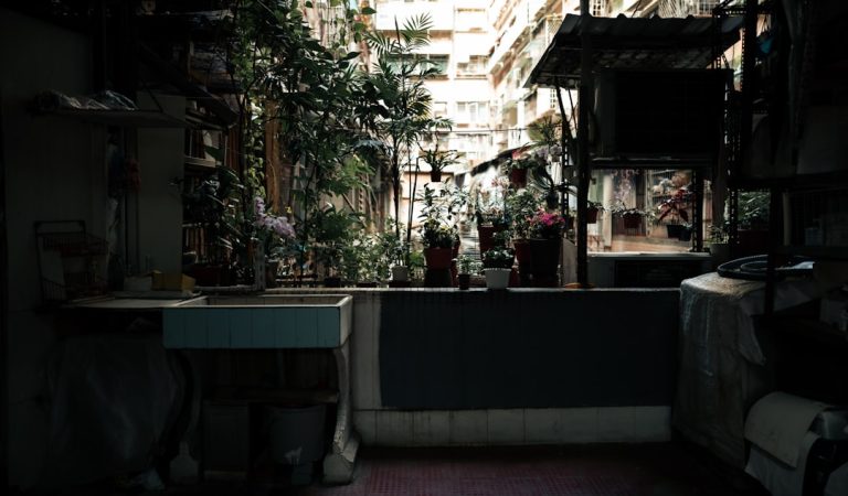 Bring Nature Indoors with Eco-Friendly Decor Solutions
