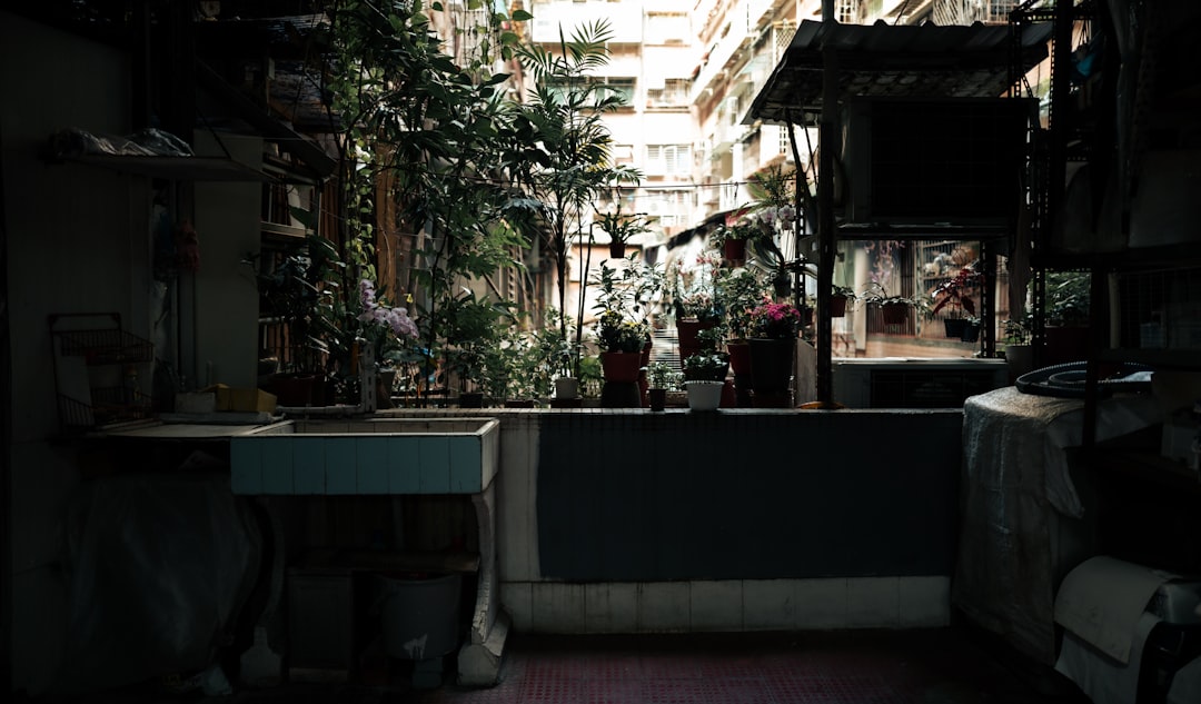 Bring Nature Indoors with Eco-Friendly Decor Solutions